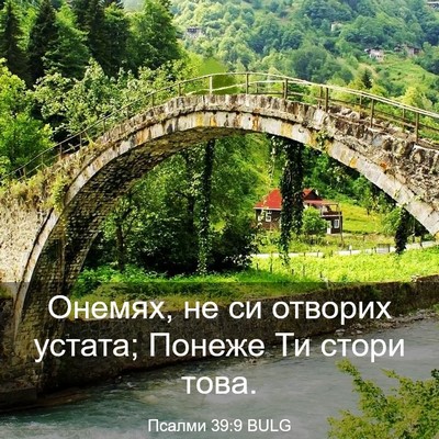 Picture 03 - Псалми 39:9 BULG - Онемях, не си отворих - Bible Verse Picture