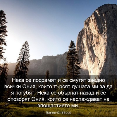 Picture 03 - Псалми 40:14 BULG - Нека се посрамят и се - Bible Verse Picture
