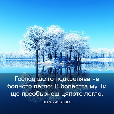 Picture 03 - Псалми 41:3 BULG - Господ ще го подкрепява на - Bible Verse Picture