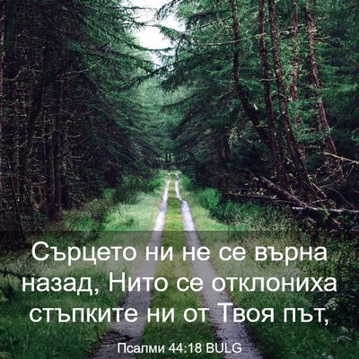 Picture 03 - Псалми 44:18 BULG - Сърцето ни не се върна - Bible Verse Picture