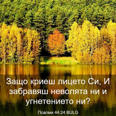 Picture 03 - Псалми 44:24 BULG - Защо криеш лицето Си, И - Bible Verse Picture