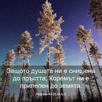 Picture 03 - Псалми 44:25 BULG - Защото душата ни е снишена - Bible Verse Picture