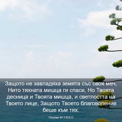 Picture 03 - Псалми 44:3 BULG - Защото не завладяха земята - Bible Verse Picture