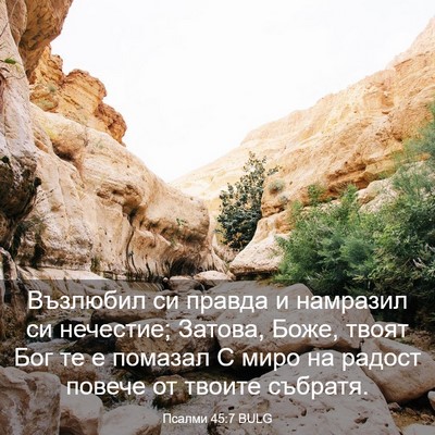 Picture 03 - Псалми 45:7 BULG - Възлюбил си правда и - Bible Verse Picture