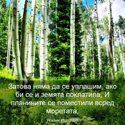 Picture 03 - Псалми 46:2 BULG - Затова няма да се уплашим, - Bible Verse Picture