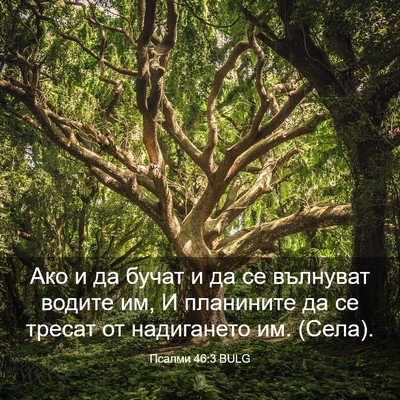 Picture 03 - Псалми 46:3 BULG - Ако и да бучат и да се - Bible Verse Picture