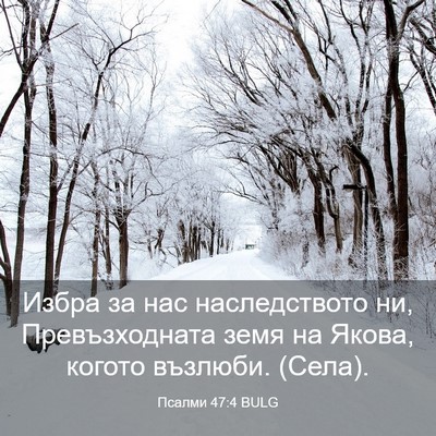 Picture 03 - Псалми 47:4 BULG - Избра за нас наследството - Bible Verse Picture
