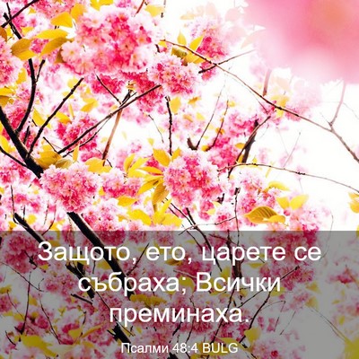 Picture 03 - Псалми 48:4 BULG - Защото, ето, царете се - Bible Verse Picture