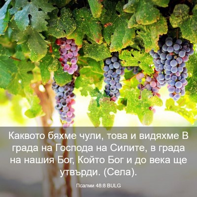 Picture 03 - Псалми 48:8 BULG - Каквото бяхме чули, това и - Bible Verse Picture