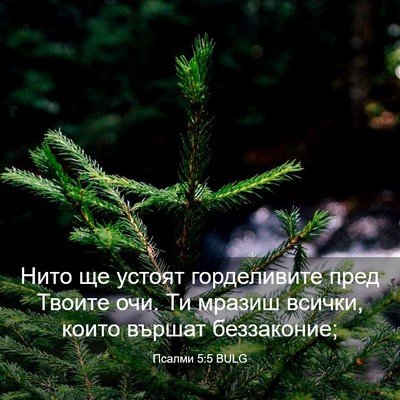 Picture 03 - Псалми 5:5 BULG - Нито ще устоят горделивите - Bible Verse Picture