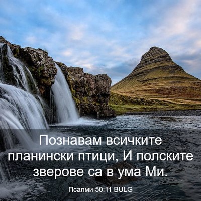 Picture 03 - Псалми 50:11 BULG - Познавам всичките - Bible Verse Picture