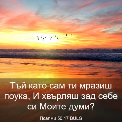 Picture 03 - Псалми 50:17 BULG - Тъй като сам ти мразиш - Bible Verse Picture