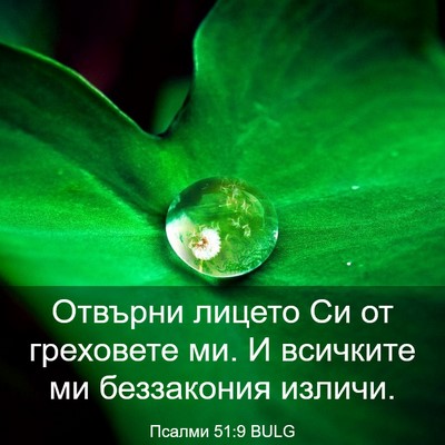 Picture 03 - Псалми 51:9 BULG - Отвърни лицето Си от - Bible Verse Picture