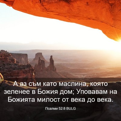 Picture 03 - Псалми 52:8 BULG - А аз съм като маслина, - Bible Verse Picture