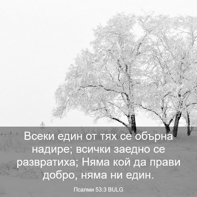 Picture 03 - Псалми 53:3 BULG - Всеки един от тях се обърна - Bible Verse Picture