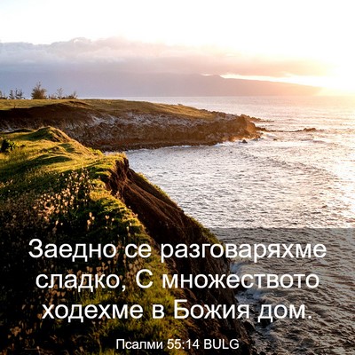 Picture 03 - Псалми 55:14 BULG - Заедно се разговаряхме - Bible Verse Picture