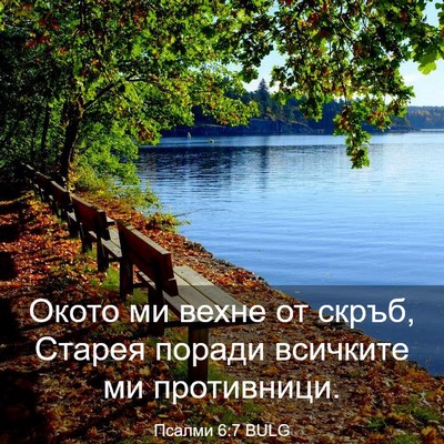Picture 03 - Псалми 6:7 BULG - Окото ми вехне от скръб, - Bible Verse Picture
