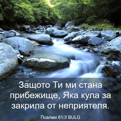 Picture 03 - Псалми 61:3 BULG - Защото Ти ми стана - Bible Verse Picture