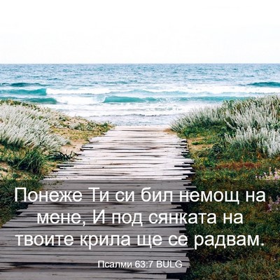 Picture 03 - Псалми 63:7 BULG - Понеже Ти си бил немощ на - Bible Verse Picture
