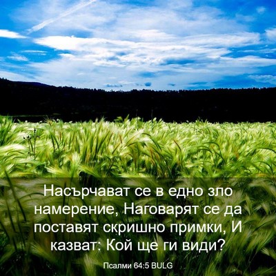 Picture 03 - Псалми 64:5 BULG - Насърчават се в едно зло - Bible Verse Picture
