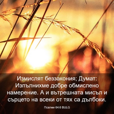 Picture 03 - Псалми 64:6 BULG - Измислят беззакония; - Bible Verse Picture