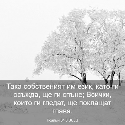 Picture 03 - Псалми 64:8 BULG - Така собственият им език, - Bible Verse Picture