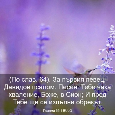 Picture 03 - Псалми 65:1 BULG - (По слав. 64). За първия - Bible Verse Picture
