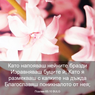 Picture 03 - Псалми 65:10 BULG - Като напояваш нейните - Bible Verse Picture