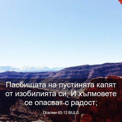 Picture 03 - Псалми 65:12 BULG - Пасбищата на пустинята - Bible Verse Picture