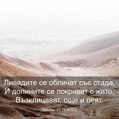 Picture 03 - Псалми 65:13 BULG - Ливадите се обличат със - Bible Verse Picture