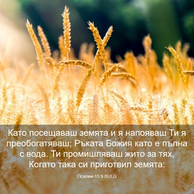 Picture 03 - Псалми 65:9 BULG - Като посещаваш земята и я - Bible Verse Picture