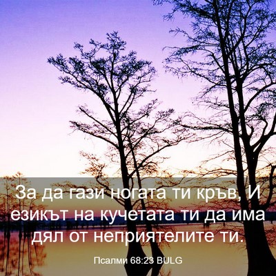Picture 03 - Псалми 68:23 BULG - За да гази ногата ти кръв, И - Bible Verse Picture