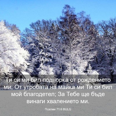 Picture 03 - Псалми 71:6 BULG - Ти си ми бил подпорка от - Bible Verse Picture
