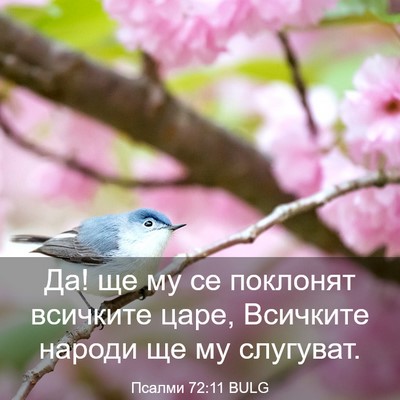 Picture 03 - Псалми 72:11 BULG - Да! ще му се поклонят - Bible Verse Picture