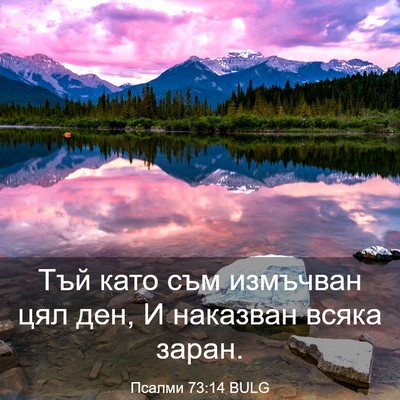 Picture 03 - Псалми 73:14 BULG - Тъй като съм измъчван цял - Bible Verse Picture