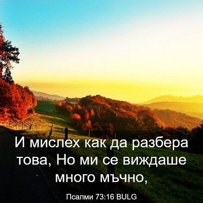 Picture 03 - Псалми 73:16 BULG - И мислех как да разбера - Bible Verse Picture