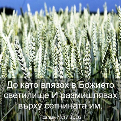 Picture 03 - Псалми 73:17 BULG - До като влязох в Божието - Bible Verse Picture