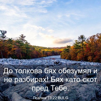 Picture 03 - Псалми 73:22 BULG - До толкова бях обезумял и - Bible Verse Picture