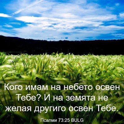 Picture 03 - Псалми 73:25 BULG - Кого имам на небето освен - Bible Verse Picture