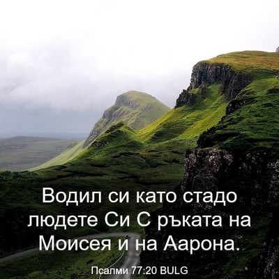 Picture 03 - Псалми 77:20 BULG - Водил си като стадо людете - Bible Verse Picture