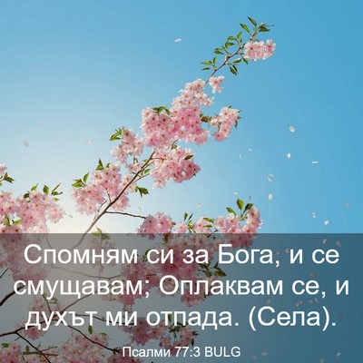 Picture 03 - Псалми 77:3 BULG - Спомням си за Бога, и се - Bible Verse Picture