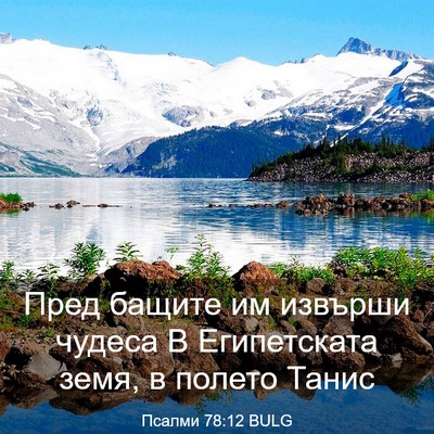 Picture 03 - Псалми 78:12 BULG - Пред бащите им извърши - Bible Verse Picture