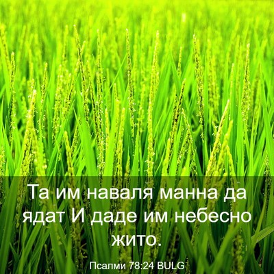 Picture 03 - Псалми 78:24 BULG - Та им наваля манна да ядат - Bible Verse Picture