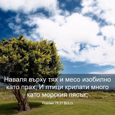 Picture 03 - Псалми 78:27 BULG - Наваля върху тях и месо - Bible Verse Picture