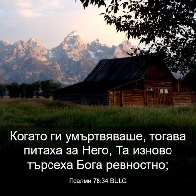 Picture 03 - Псалми 78:34 BULG - Когато ги умъртвяваше, - Bible Verse Picture