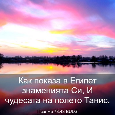 Picture 03 - Псалми 78:43 BULG - Как показа в Египет - Bible Verse Picture