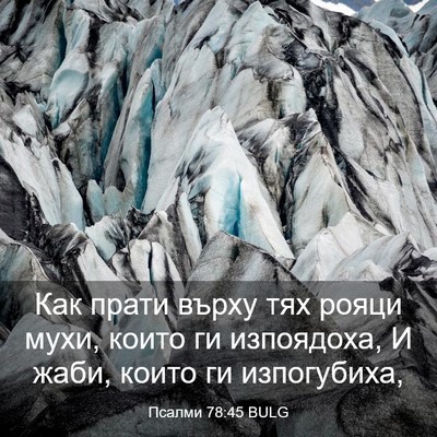 Picture 03 - Псалми 78:45 BULG - Как прати върху тях рояци - Bible Verse Picture
