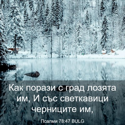 Picture 03 - Псалми 78:47 BULG - Как порази с град лозята - Bible Verse Picture