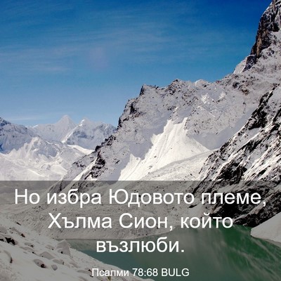 Picture 03 - Псалми 78:68 BULG - Но избра Юдовото племе, - Bible Verse Picture