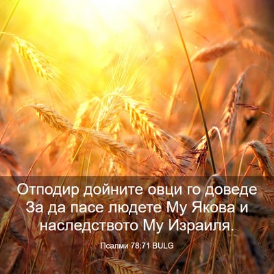 Picture 03 - Псалми 78:71 BULG - Отподир дойните овци го - Bible Verse Picture